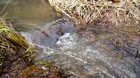 Mountain rivers, thawed waters from mountains, brooks Vidéo 75664971