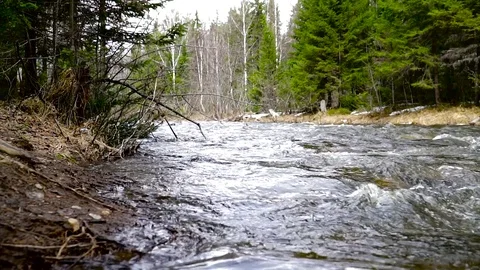 Mountain rivers, thawed waters from mountains, brooks Stockbeeldmateriaal 75665026