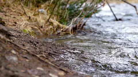 Mountain rivers, thawed waters from mountains, brooks Vidéo 75665043