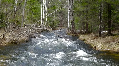 Mountain rivers, thawed waters from mountains, brooks Vidéo 75665082