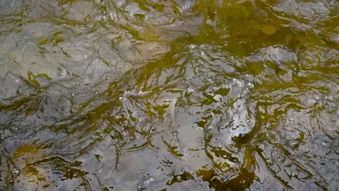Mountain rivers, thawed waters from mountains, brooks Video stock 75665102