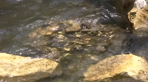Mountain river,Sochi, Russia Stock Footage 53303549