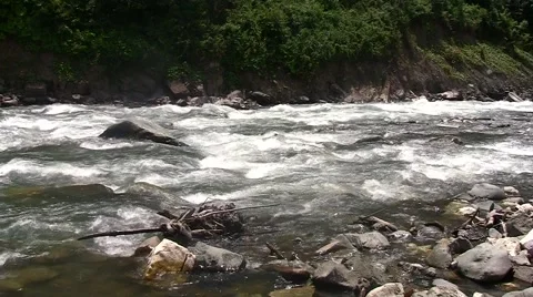 Mountain river,Sochi, Russia Stock Footage 53303555