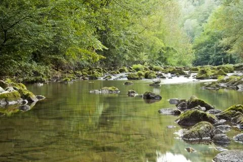 Mountain riwer in forest Stock Photos