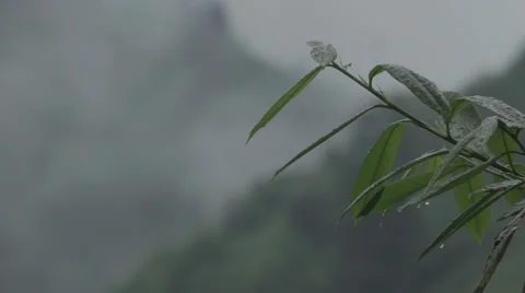 Mountain in Rize Stock Footage 48392881