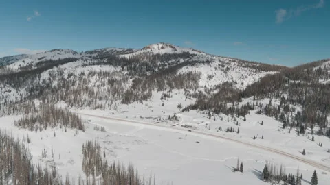 Mountain Road 8 (Tracking) Stock Footage 221134694