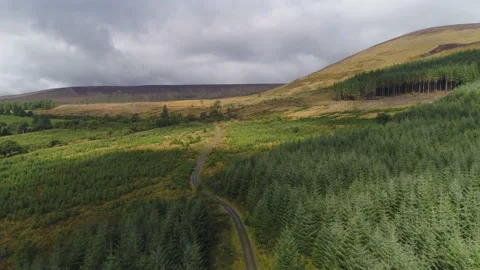Mountain road above the forest Stock Footage 209984026