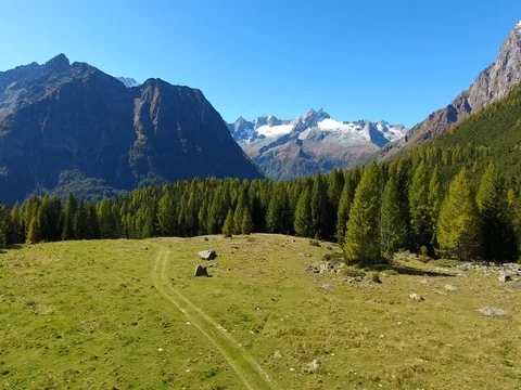 Mountain road, aerial view with drone. Green forest Video stock 80903243