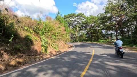 Mountain road among pine trees riding a motorbike, Dalat, Lam Dong, Vietnam Stock Footage 241133937