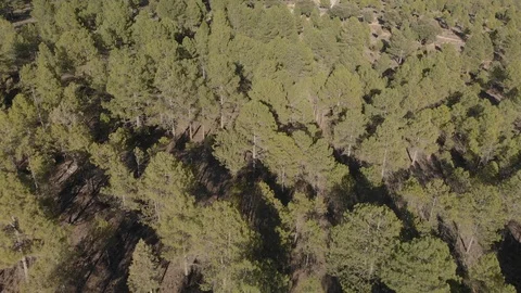 Mountain Road and Cliffs  Vídeos de archivo 103379161