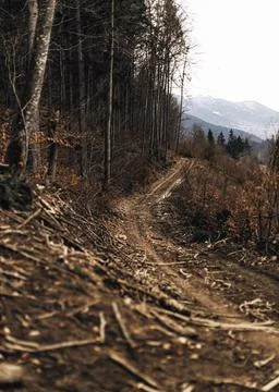 Mountain road on the background Stock Photos