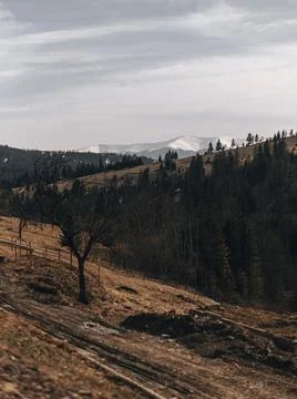 Mountain road on the background Stock Photos