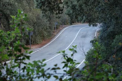 Mountain road between forest trees towards Fuente Roja natural park in Alcoy Stockfoto's