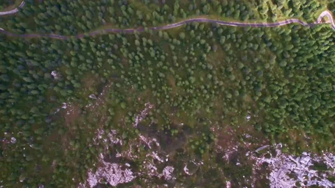 Mountain road between the trees. Veneto, Italy Stock Footage 220597428
