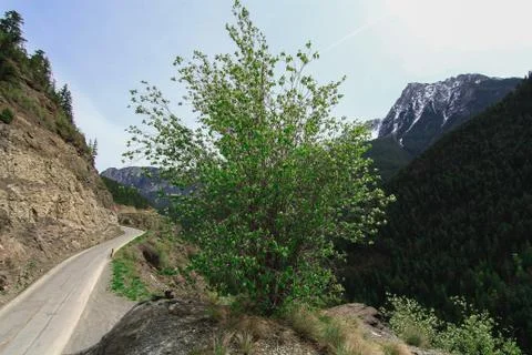 Mountain road Canada Stock Photos