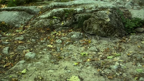 Mountain road close-up. Stock Footage 80413209