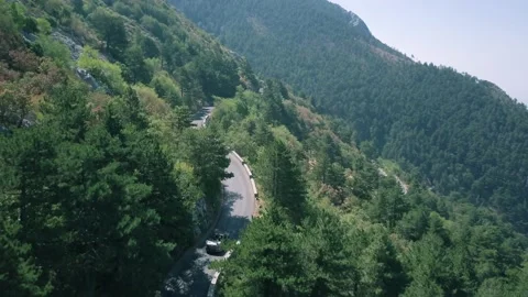 Mountain Road in Deciduous Forest in Sunny Montenegro Aerial Drone Footage Stock Footage 201152201
