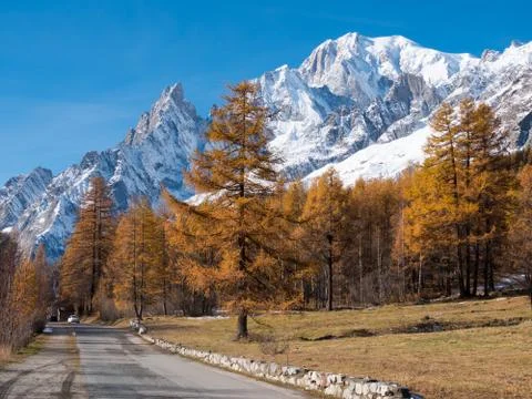 Mountain road in fall. in background the forest and the snowy peaks of mont b Stock Photos