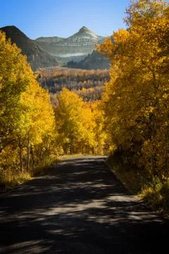 Mountain Road in the Fall Stock-Fotos