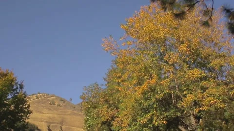 Mountain Road Stock Footage 57984432