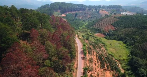 Mountain road Stock Footage 88241064