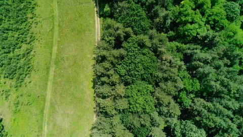 Mountain road Stock Footage 129677968