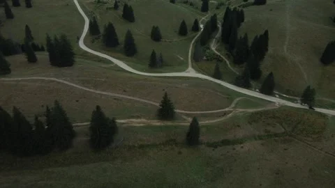 Mountain road going through forest area Stock Footage 297253568