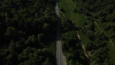 Mountain road going through forest area from drone Stock Footage 297255412