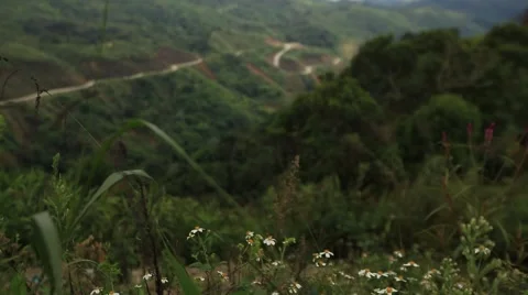 Mountain road in Laos. Stock Footage 51342319