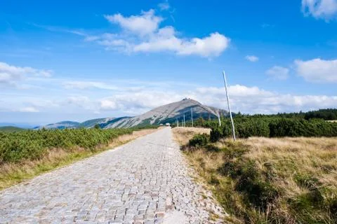 Mountain road to the mountain top between grassland and meadow Stock Photos