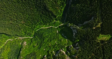 Mountain Road Passage Through Cliffs Rough Terrain High Altitude Evergreen Stock-Footage 300478544