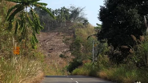Mountain road passing deforested hillside with tropical vegetation Stock Footage 329175905