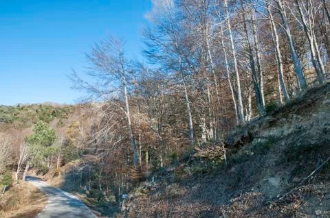 Mountain road Stock Photos