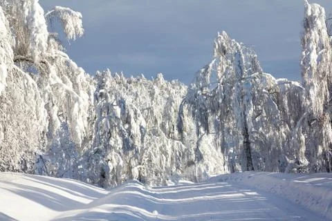 Mountain road Stock Photos
