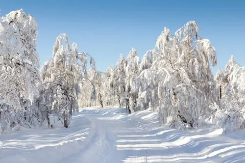 Mountain road Stock Photos