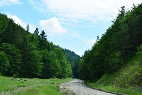 Mountain road Stock Photos