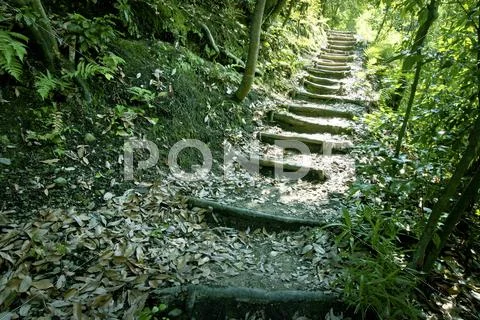 Mountain road Stock Photos