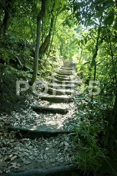 Mountain road Stock Photos