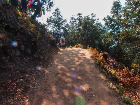 Mountain Road Stock Photos