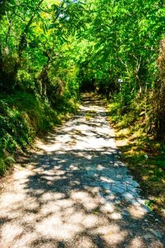 Mountain road 스톡 사진