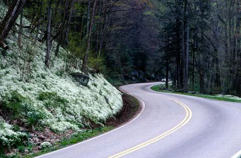 Mountain Road Stock Photos