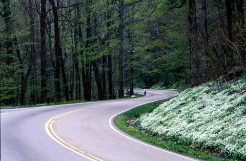 Mountain Road Stock Photos