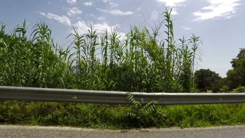 Mountain Road, Real Time, Camera Car Stockbeeldmateriaal 134980322