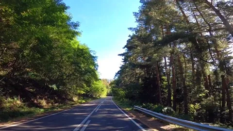 Mountain Road in Romania Stock Footage 143645738