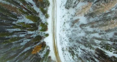 Mountain Road with Snow and Pine Trees Aerial (Birds Eye View) Stock Footage 120701866