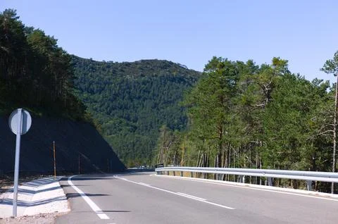 Mountain road surrounded by forest Stock Photos