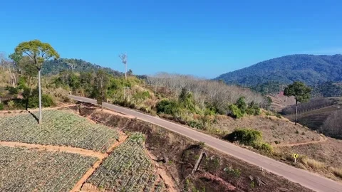 Mountain road surrounded by lush green forest and rolling hills Stock Footage 301200739