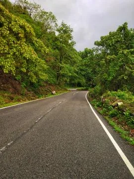 A Mountain road surrounded by trees. Stock Photos