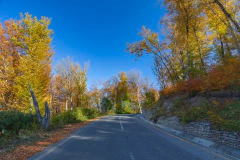 Mountain road through the autumn forest Stock Photos