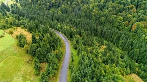 Mountain road through the forest Stock Footage 91226109